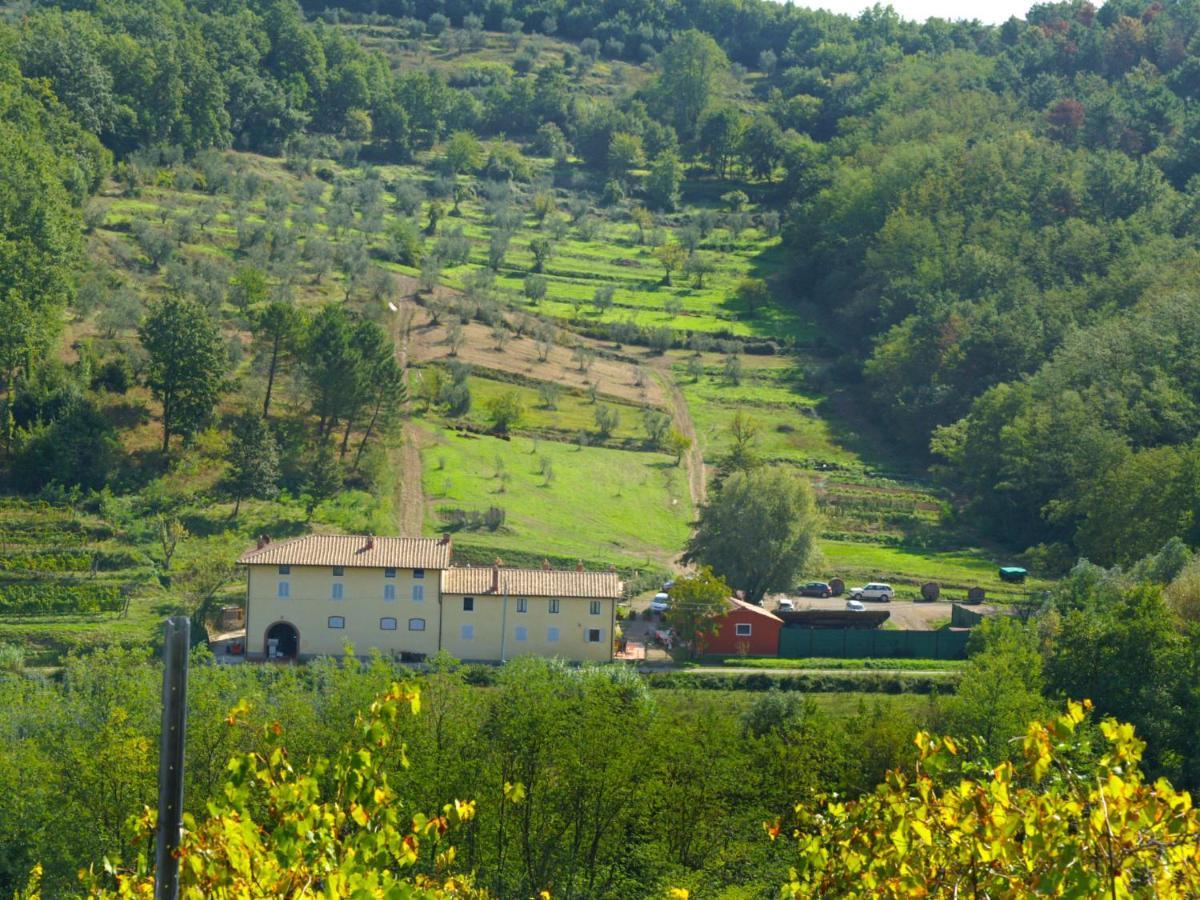Apartment Aurora By Interhome Serravalle Pistoiese Buitenkant foto